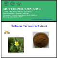 Hot Sale extracto natural de Tribulus Terrestris